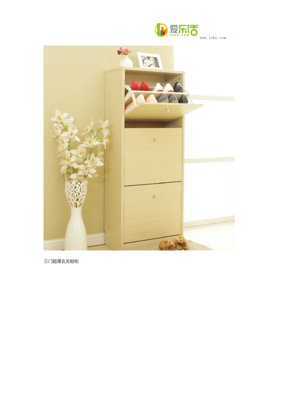 三门超薄玄关鞋柜_第2页