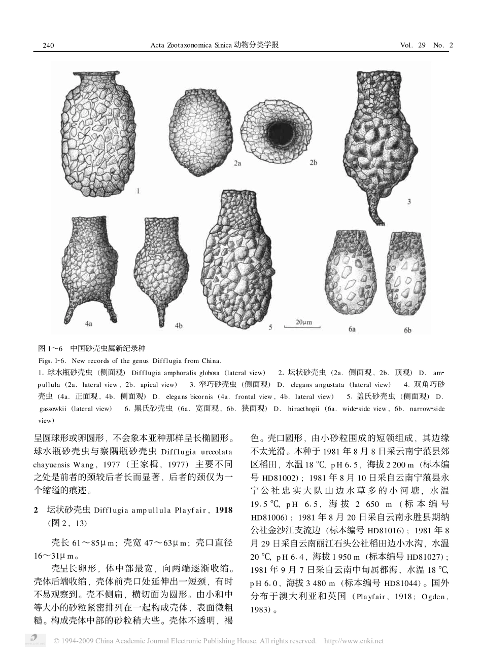 中国砂壳虫属新纪录_肉鞭门_根足总纲_叶足纲_表壳目_砂壳科_[1]_第2页