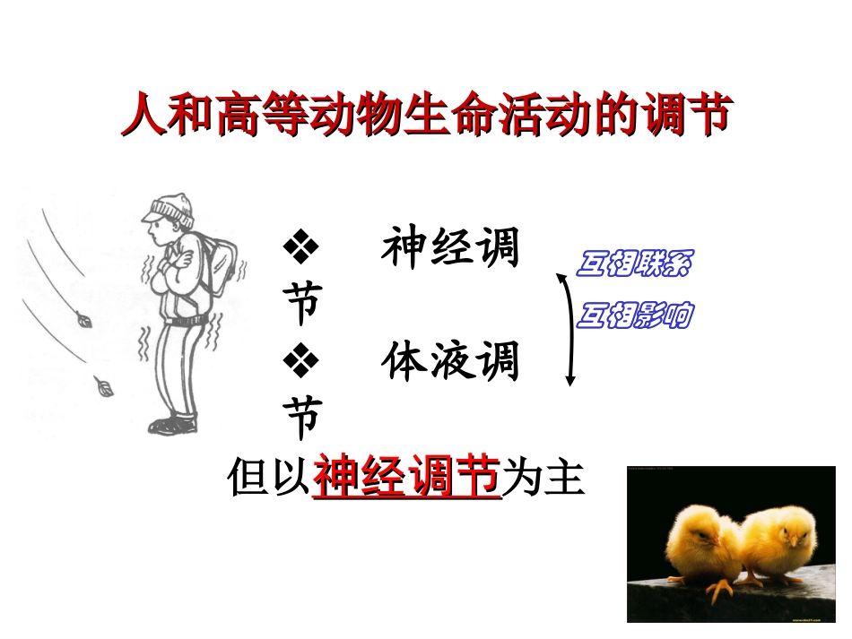 人教版教学课件新课标人教版体液调节复习课件_第2页