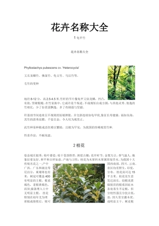 花卉名称大全====乔木