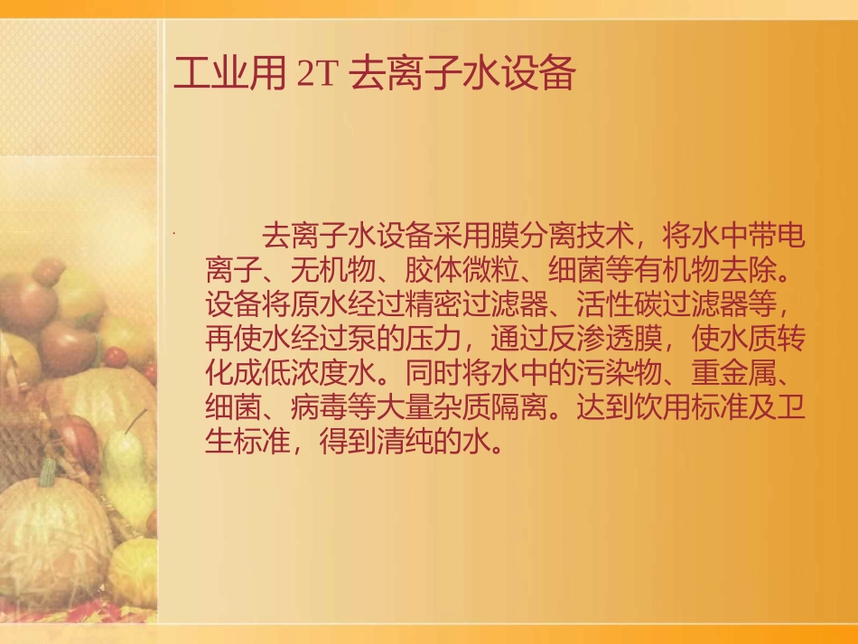 工业用2T去离子水设备_第2页