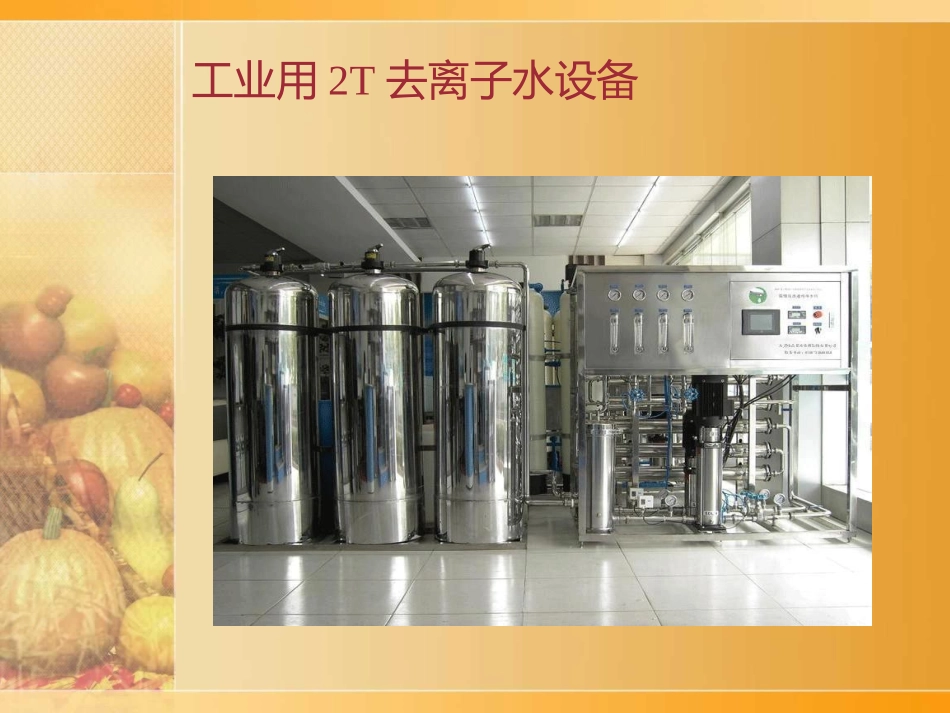 工业用2T去离子水设备_第3页