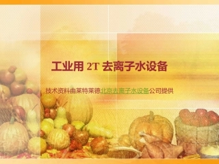 工业用2T去离子水设备