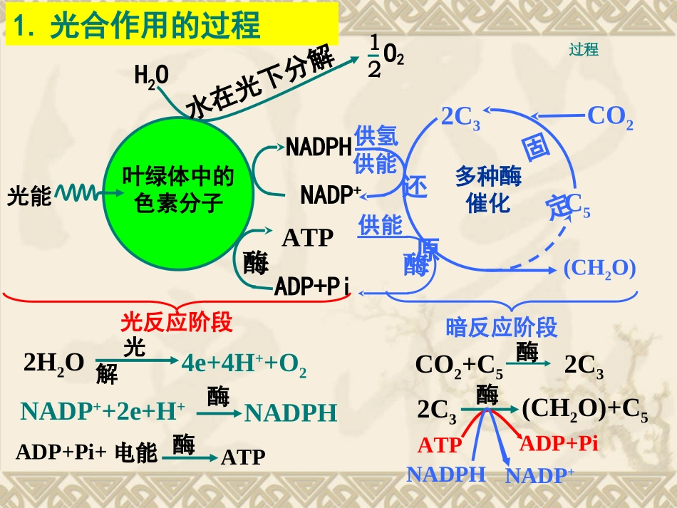生物：5.4.2《光合作用的原理和应用》课件(新人教版必修1)_第2页