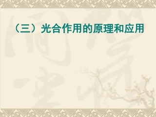 生物：5.4.2《光合作用的原理和应用》课件(新人教版必修1)