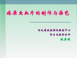 血片制作与染色