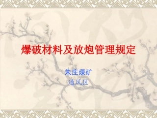 放炮操作规范稿