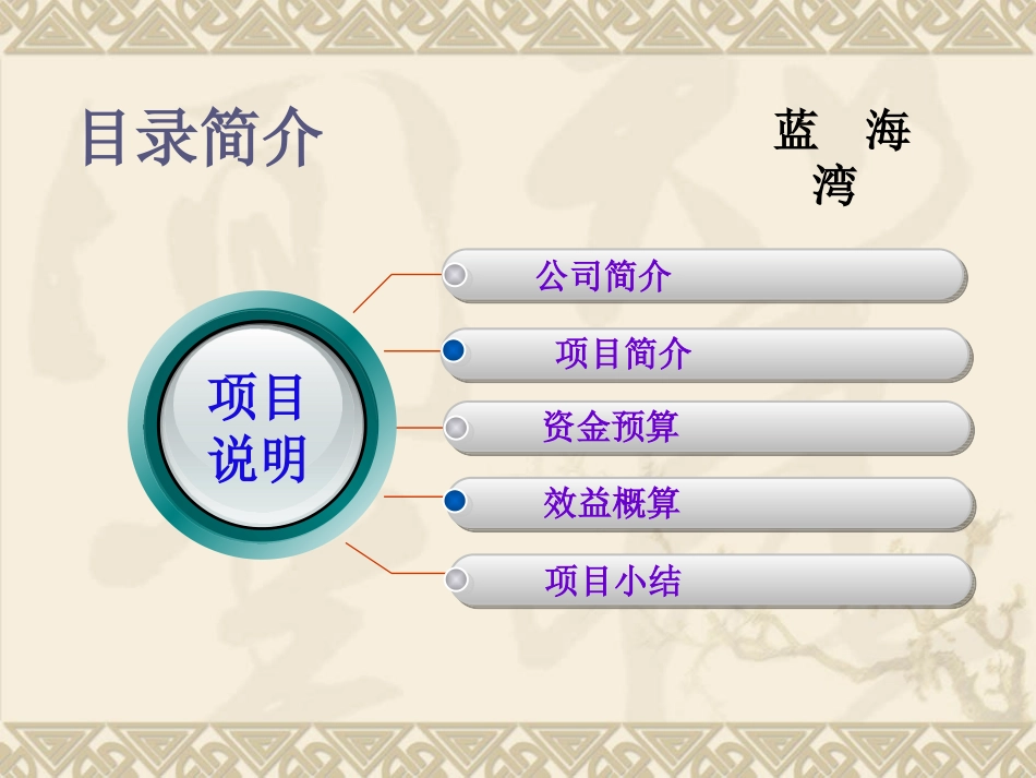 沙保项目简介_第2页