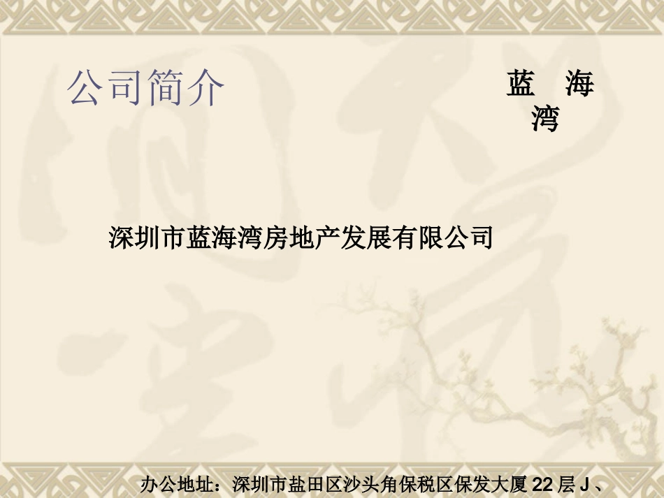 沙保项目简介_第3页