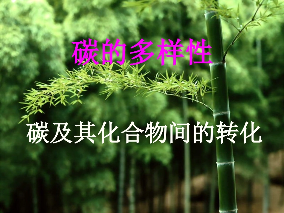 碳的多样性：PPT_第1页