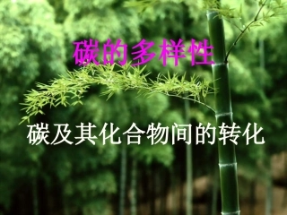 碳的多样性：PPT
