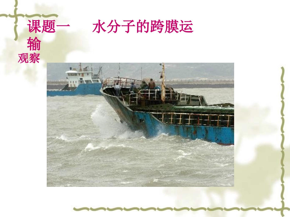 物质跨膜运输实例_第2页