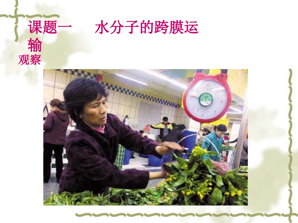 物质跨膜运输实例_第3页