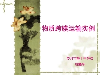 物质跨膜运输实例