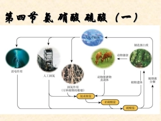 高中化学第四章 氨气
