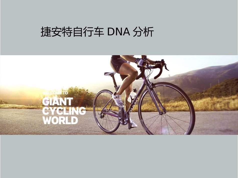 捷安特ppt_第1页