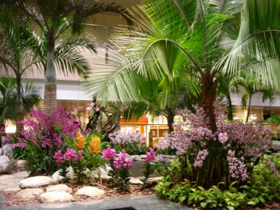 十字路口的位置_第1页