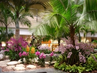 十字路口的位置