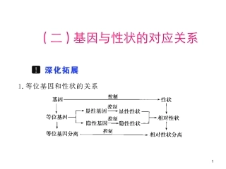 高中生物必修2 基因和性状的关系