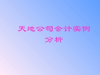 天地公司会计报表