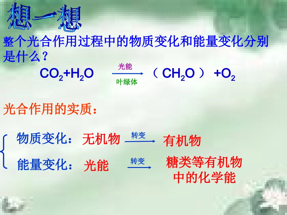 光合作用(二)_第2页