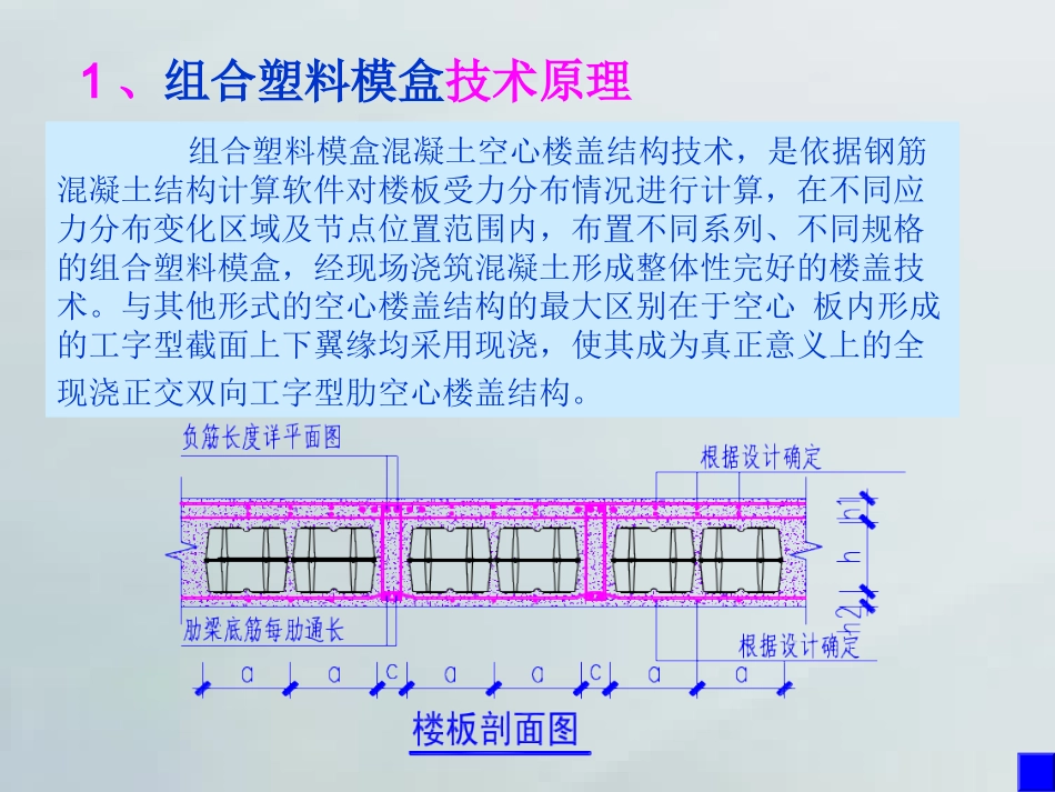 组合塑料模盒空心楼盖技术简介_第1页