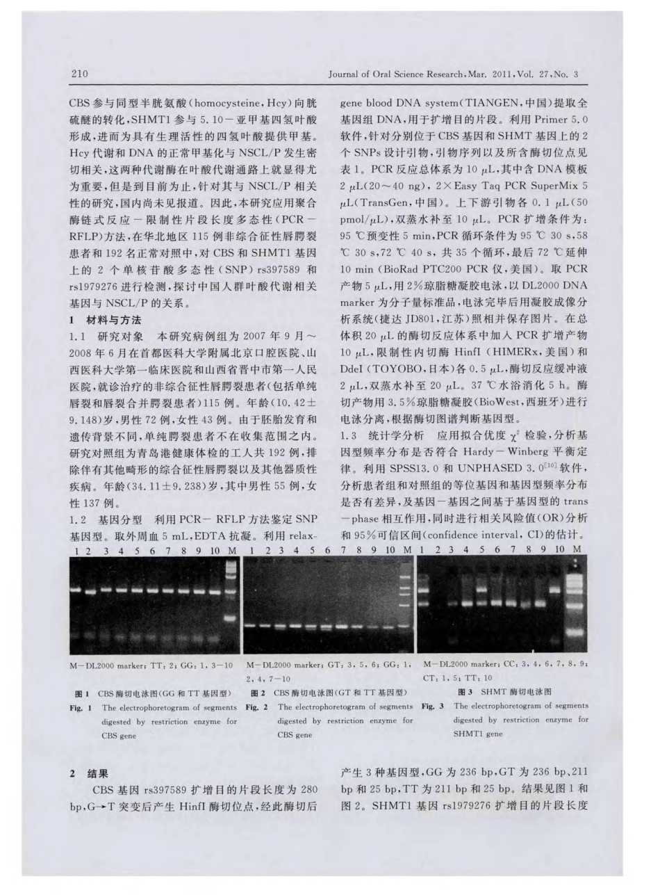 叶酸代谢相关基因与非综合征性唇腭裂的关系_第2页