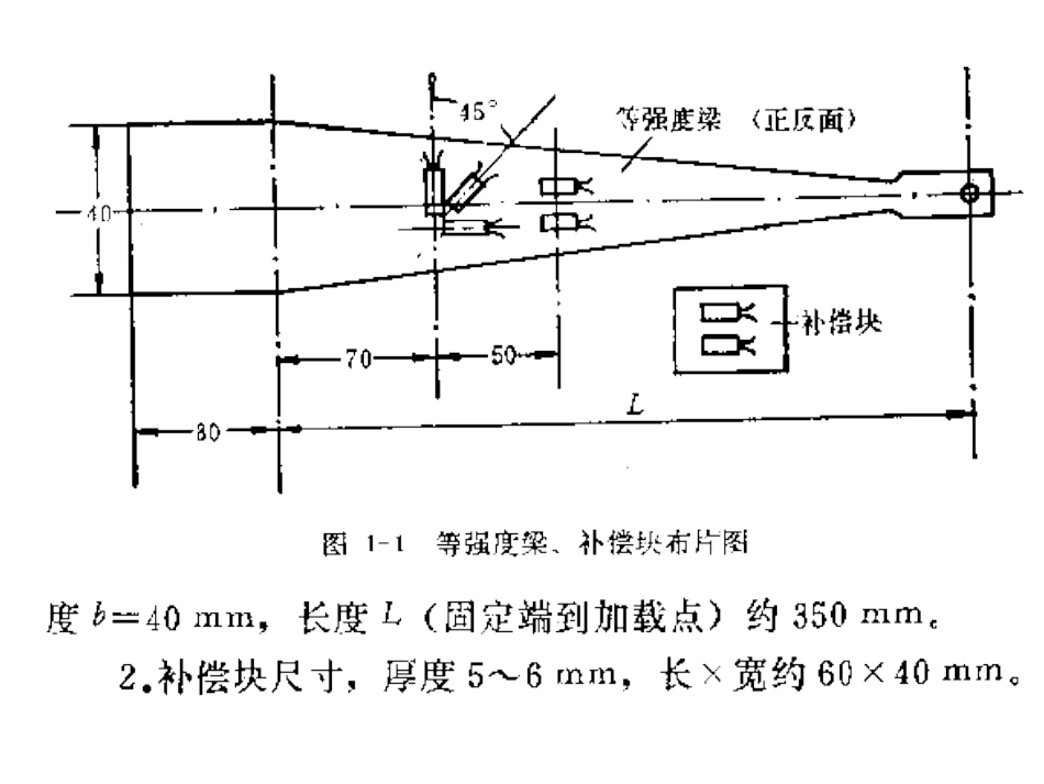实验力学实验_第2页