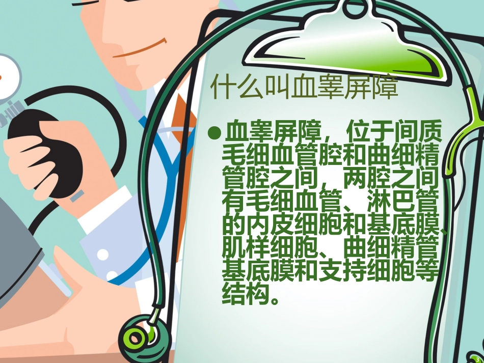 什么叫血睾屏障_第3页