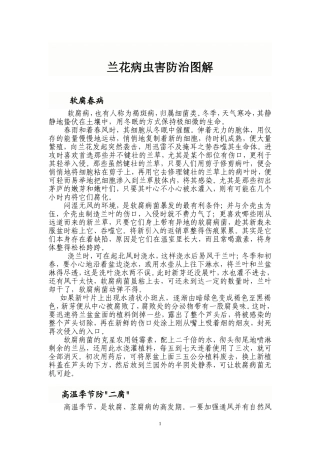 兰花病虫害防治图解