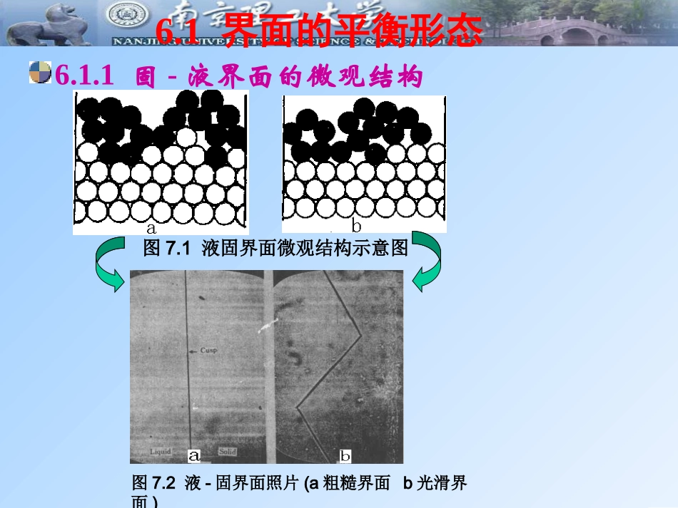 第六章 界面模型_第3页