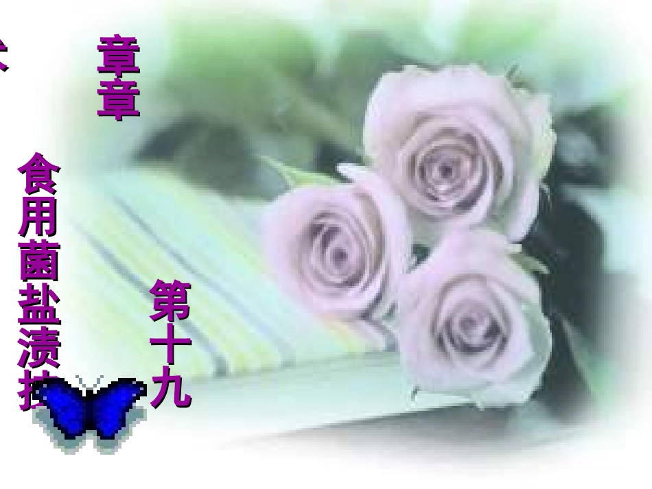 盐渍蘑菇工艺原理_第1页