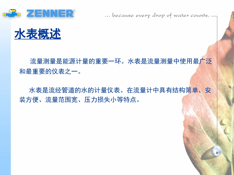 福州真兰水表基本知识讲座_第2页