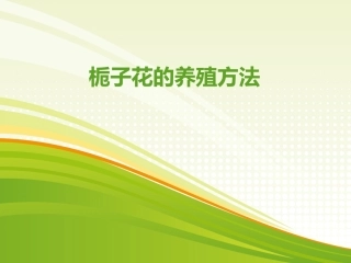 栀子花的养殖方法