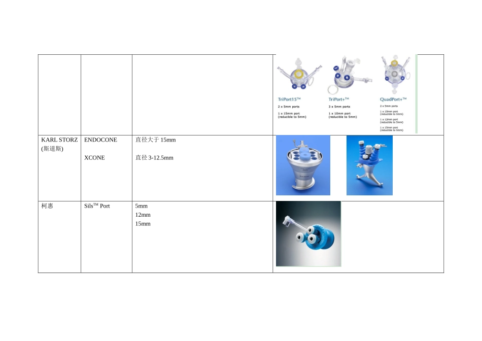 腹腔镜通道调研_第2页