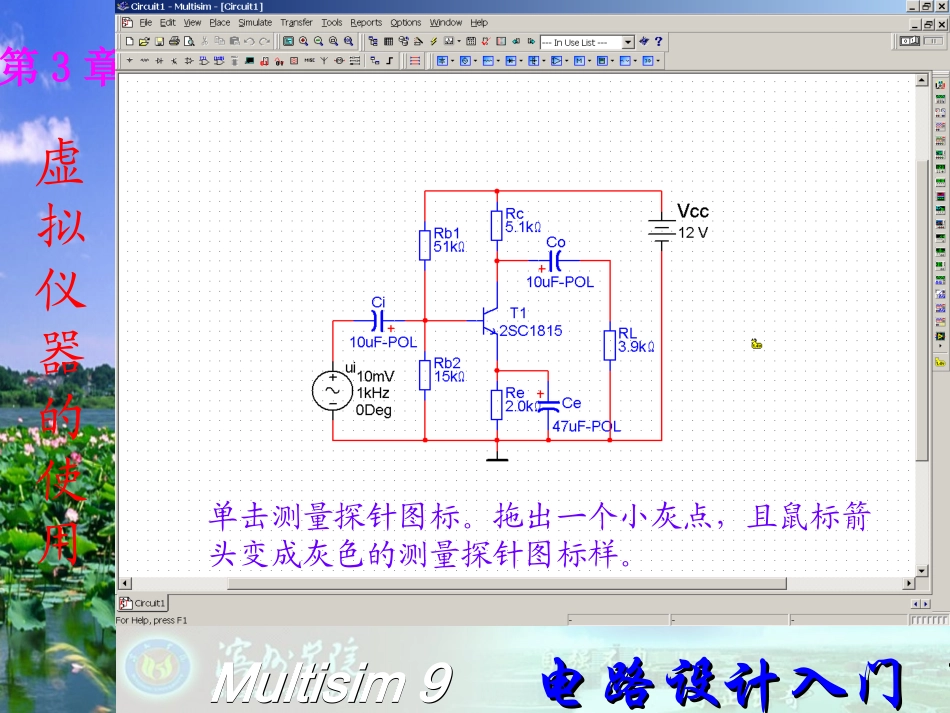第三章十三_测量探针_第2页