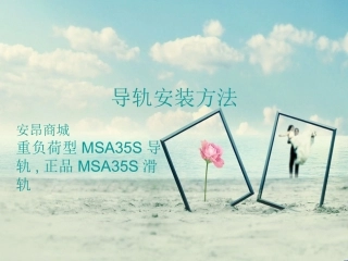 重负荷型MSA35S导轨,正品MSA35S滑轨