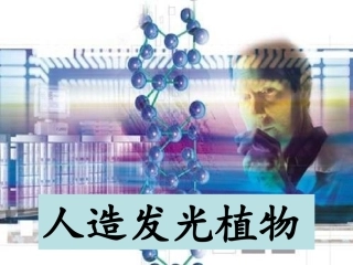 人教版四年级语文上册《人造发光植物》