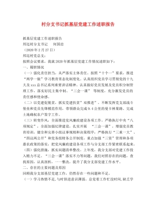 村分支书记抓基层党建工作述职报告 
