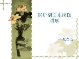 锅炉剖面系统图讲