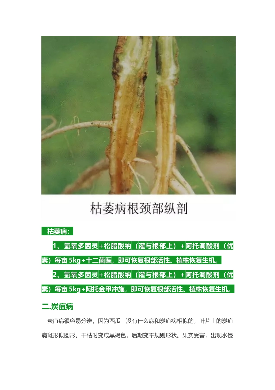 叶枯病、炭疽病、枯萎病--阿托菲纳方案_第2页