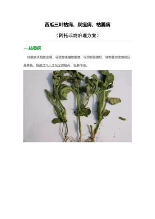 叶枯病、炭疽病、枯萎病--阿托菲纳方案