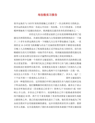 布拉格实习报告 