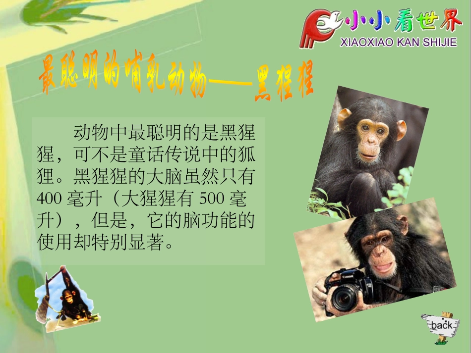 有趣的动物吉尼斯_第3页