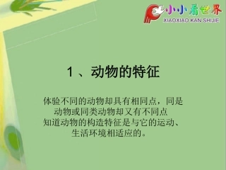 有趣的动物吉尼斯