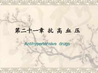 第21章 抗 高 血