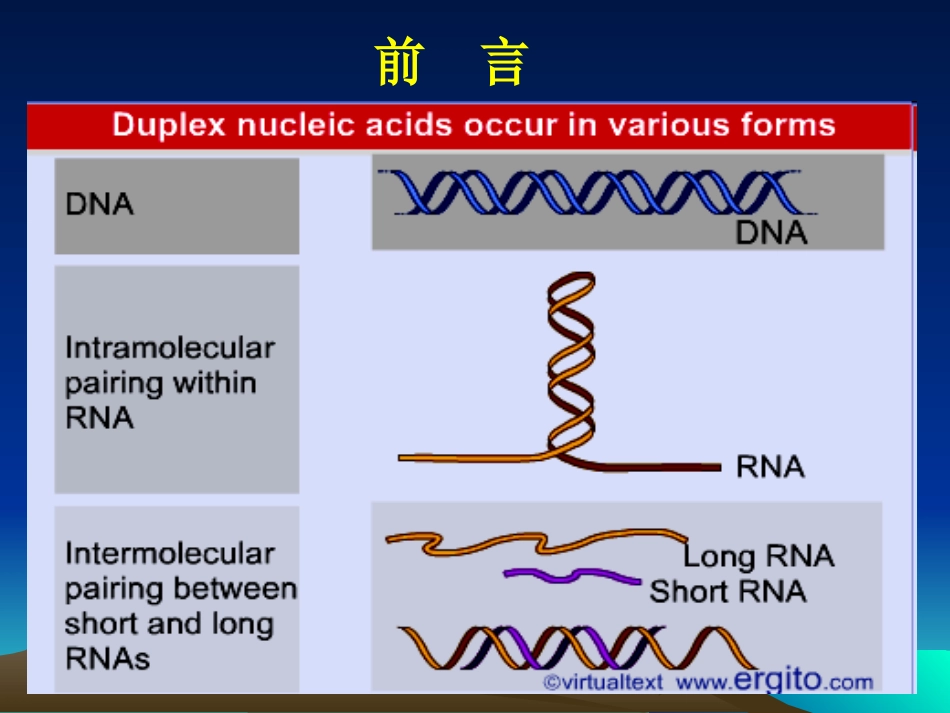 分子杂交技术_第3页