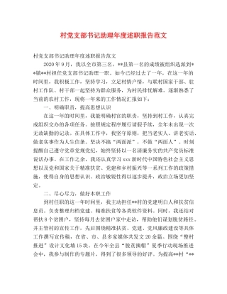 村党支部书记助理年度述职报告范文 