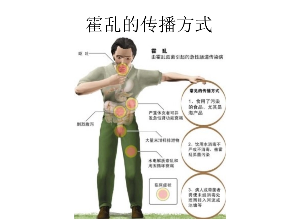 生物课前展示1_第2页