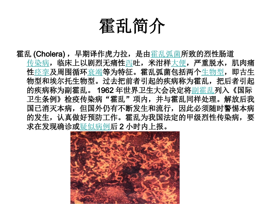 生物课前展示1_第3页